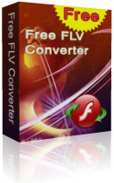 FLV Converter box