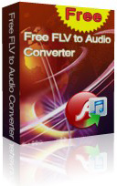 Free FLV to Audio Converter box