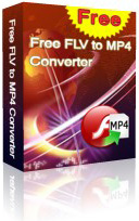 Free FLV to MP4 Converter box