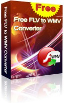 Free FLV to WMV Converter box
