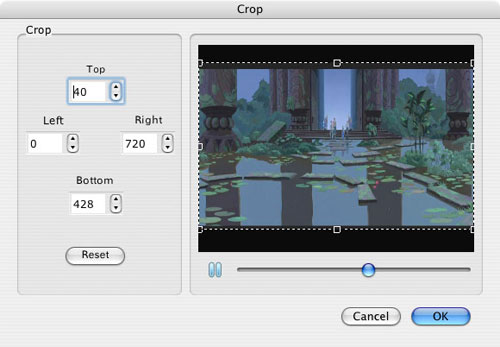 crop video