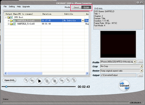 convert dvd to iphone