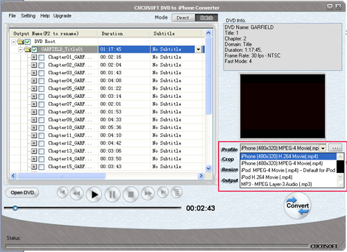 convert dvd to iphone